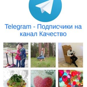 Подписчик на канал Telegram качество